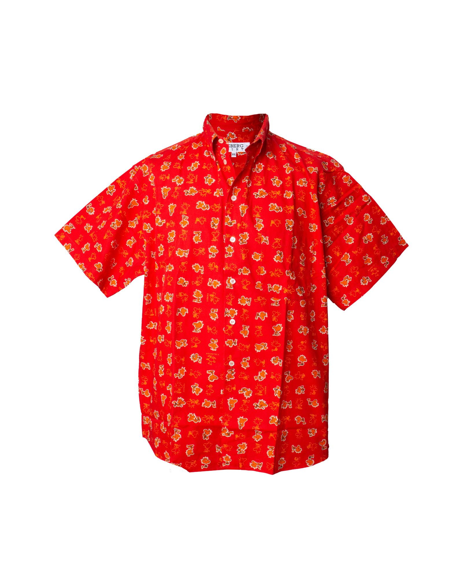 Vintage Iceberg Shirt