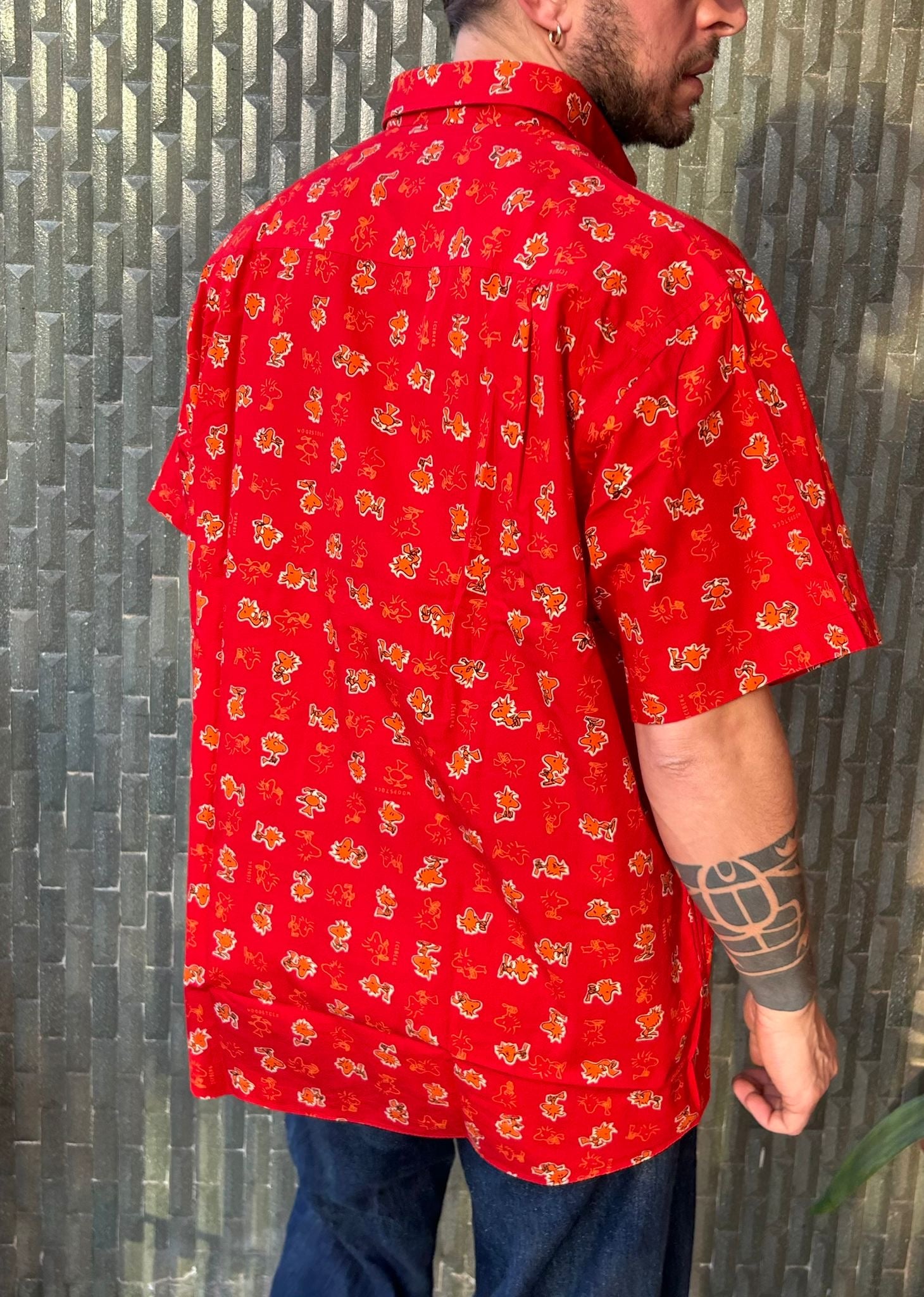 Vintage Iceberg Shirt