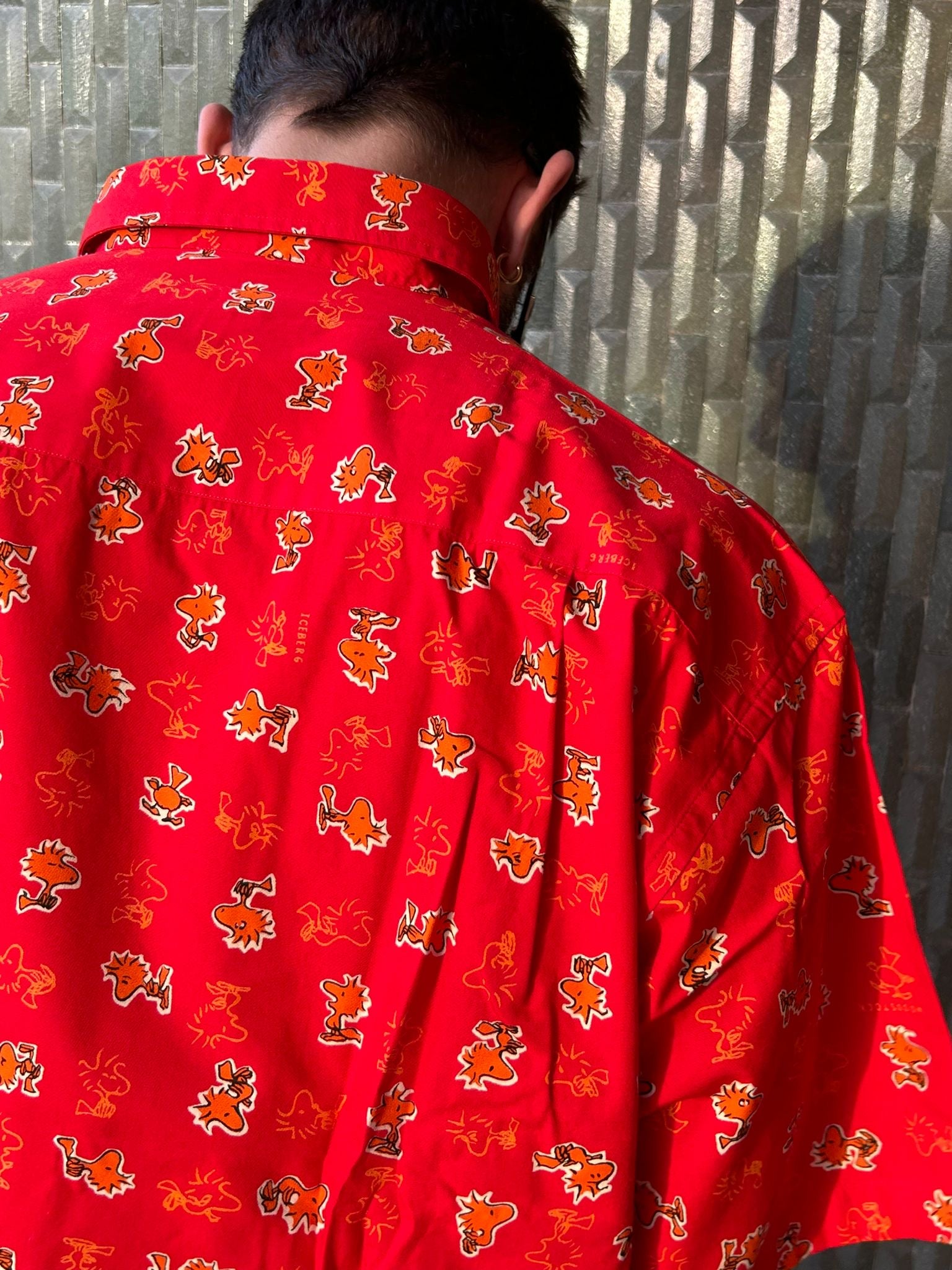 Vintage Iceberg Shirt