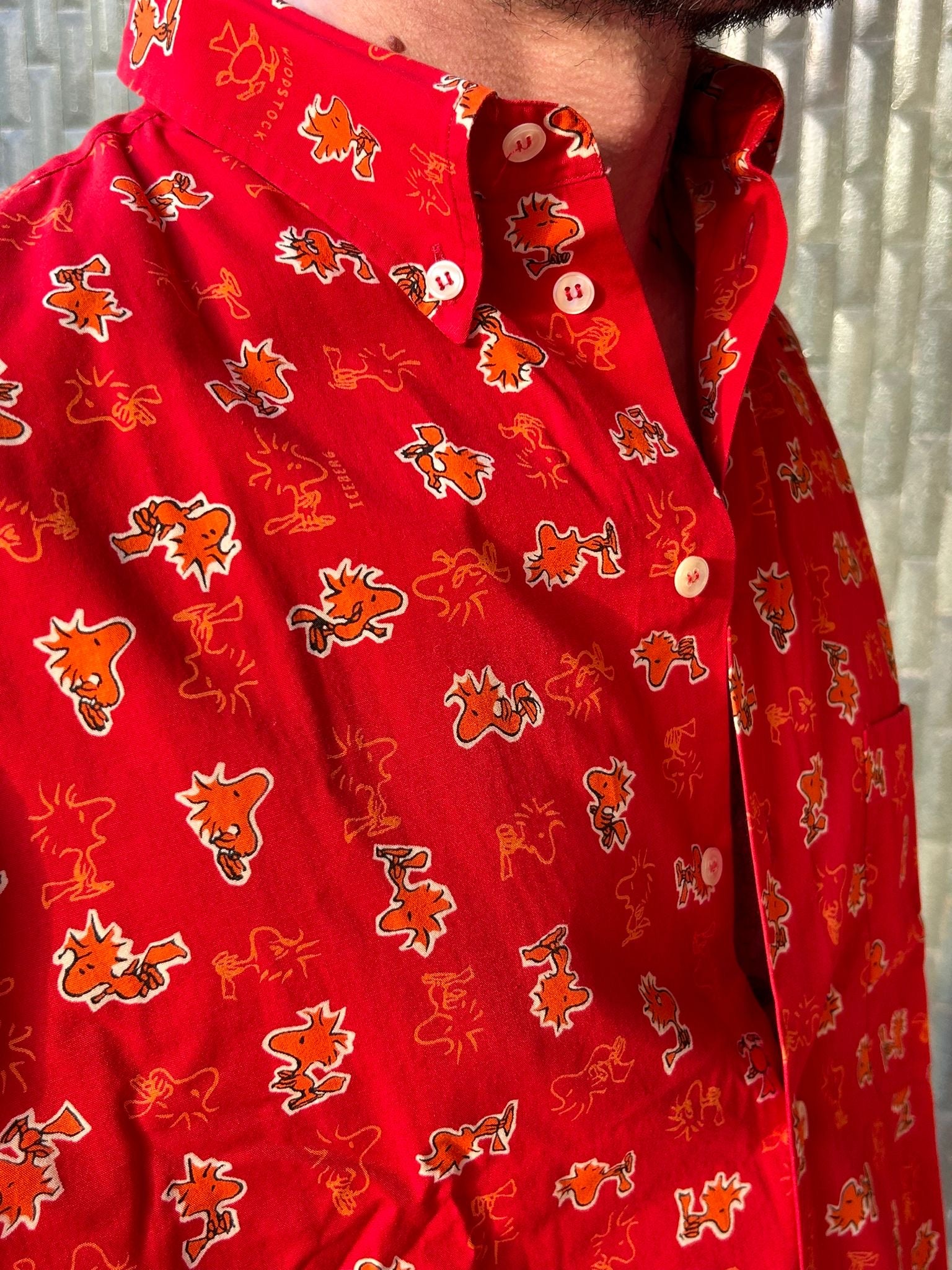 Vintage Iceberg Shirt